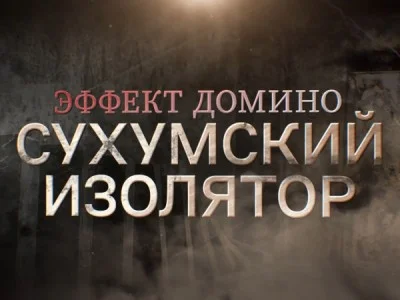 Эффект Домино Сухумский изолятор 13.09.2026